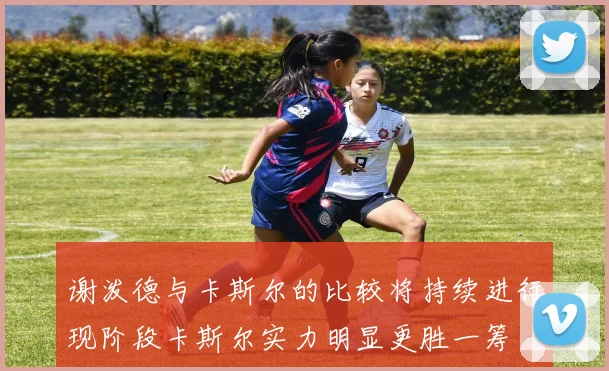 谢泼德与卡斯尔的比较将持续进行现阶段卡斯尔实力明显更胜一筹