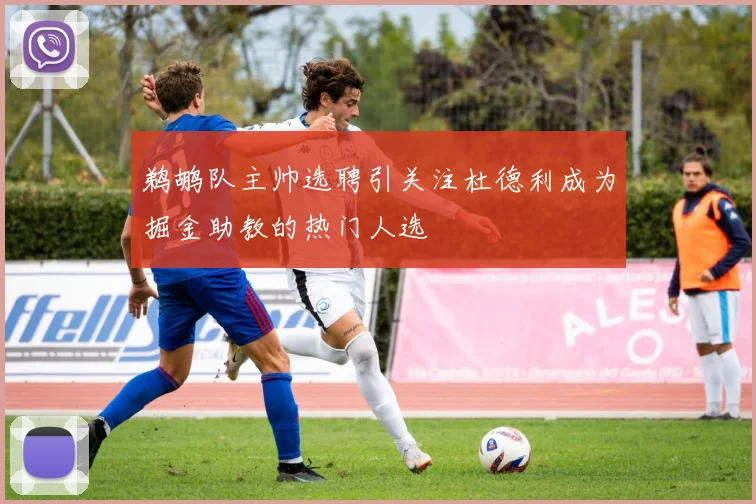 鹈鹕队主帅选聘引关注杜德利成为掘金助教的热门人选